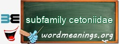 WordMeaning blackboard for subfamily cetoniidae